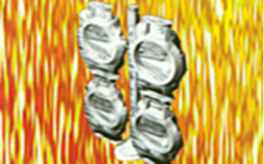 Lost Wax Casting(10) Lost Wax Casting(10)