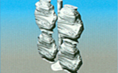 Lost Wax Casting(12) Lost Wax Casting(12)